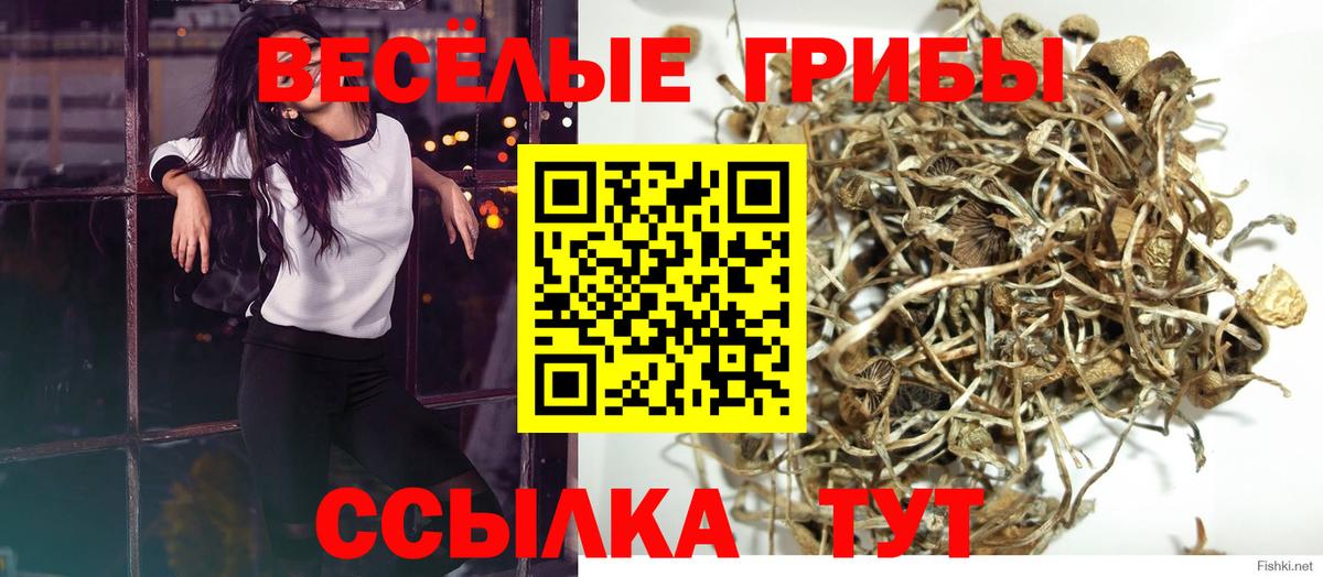 Галлюциногенные грибы Magic Shrooms  Псилоцибиновые грибы мицелий  Вход с VPN  Видное 