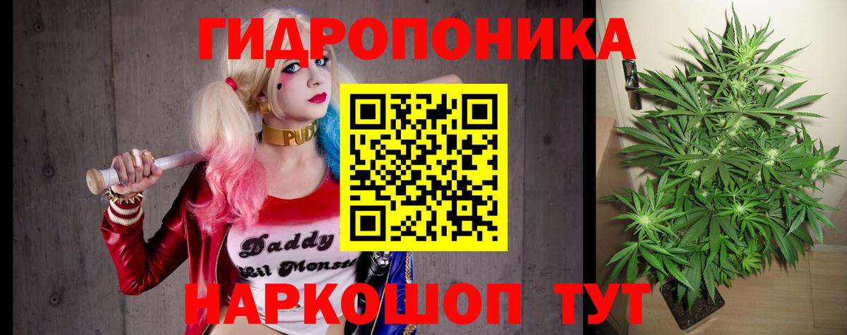 Каннабис White Widow  Шишки марихуана план  Вход с VPN  Бошки Шишки тримм  Видное 